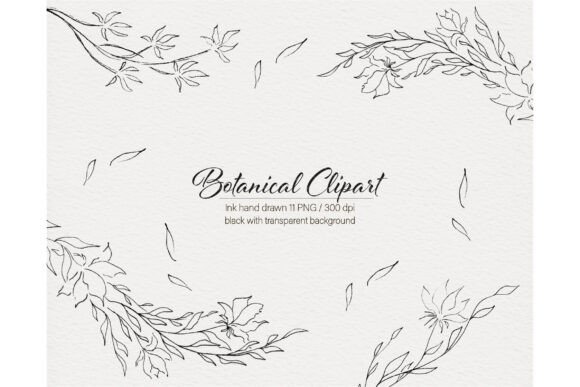 Download Modern Flowers Botanical Hand Drawn - Botanical Collection