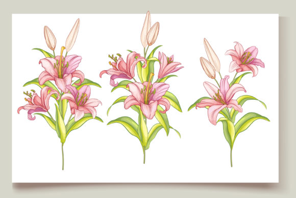 Download Hand Drawn Floral Invitation Card Set - Invitation Collection