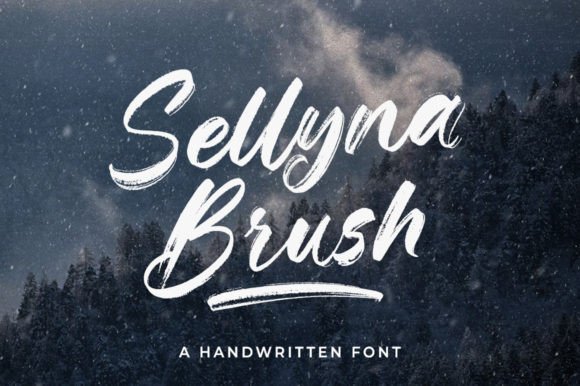 Download Sellyna Brush - Premium Bundle