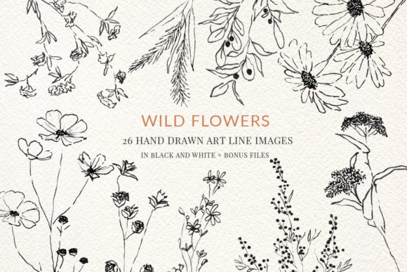 Download Wild Flowers Fine Line Clipart Hand Draw - Fine line Collection
